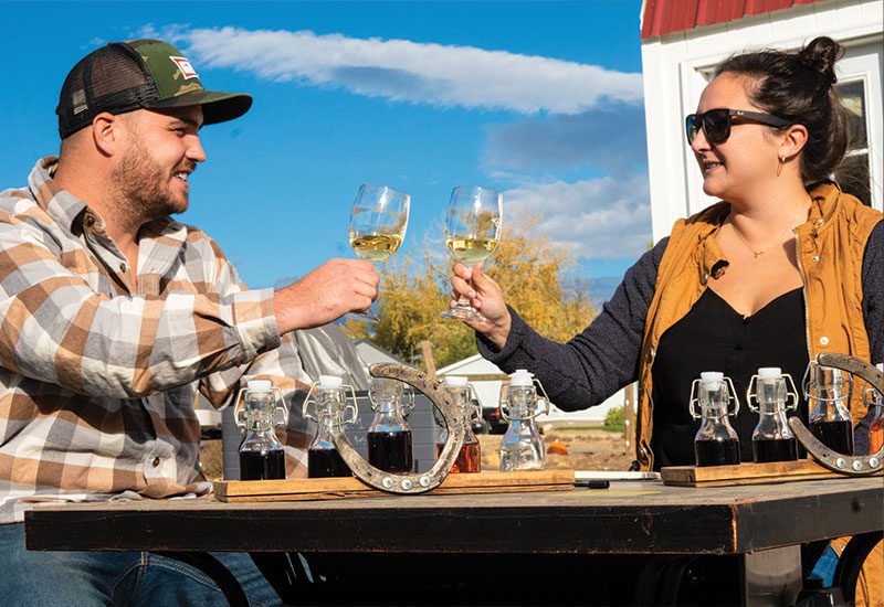 couple toasting with wine