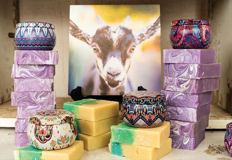 goat milk bath products