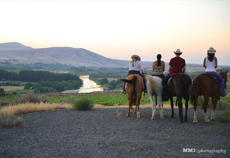 group riding horses