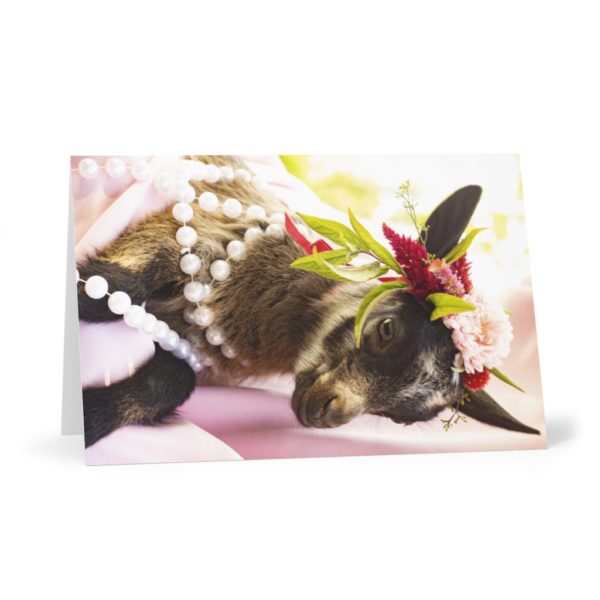 Goat with flowers cards