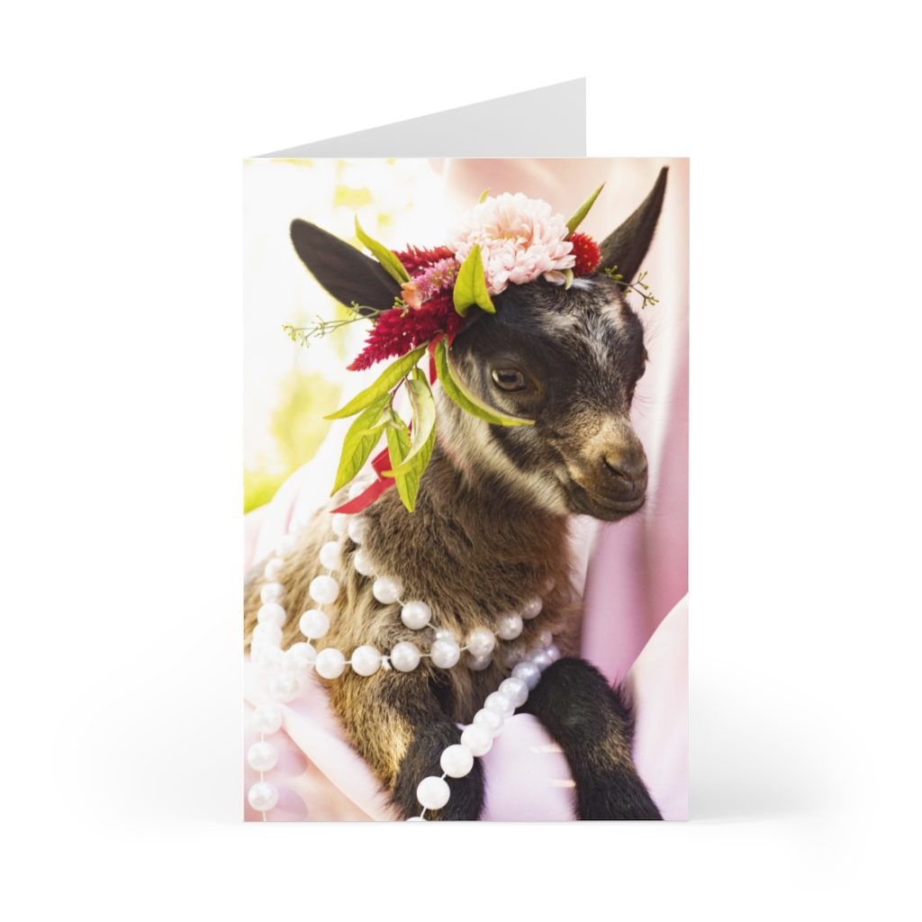 Goat with flowers cards